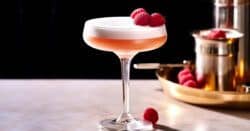 Dry shaken French Martini with egg foam on top