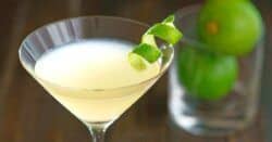 Elderflower Martini with lime twist