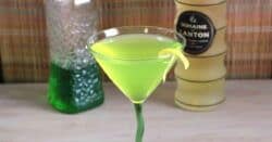 The Honeydew-Ginger Martini uses Midori and Domaine De Canton Ginger Liqueur for the cocktail’s main flavors of honeydew and ginger. Lemon juice and Angostura bitters givethis drink recipe a little bit of spice.