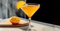 Monkey Gland cocktail with orange slice