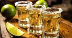 Tequila shooters lined up on bar with salt rims and limes