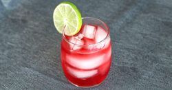 26 Best Cranberry Cocktails You’ve Never Tried